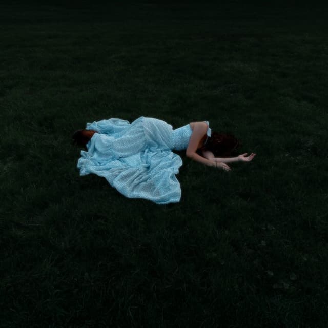 Dragons by Maddy Low